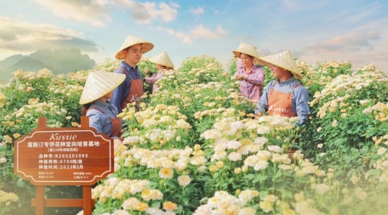 斯汀花瓣沐浴露连续三年全球销量第一麻将胡了模拟器试玩市场地位证明：蔻(图2)