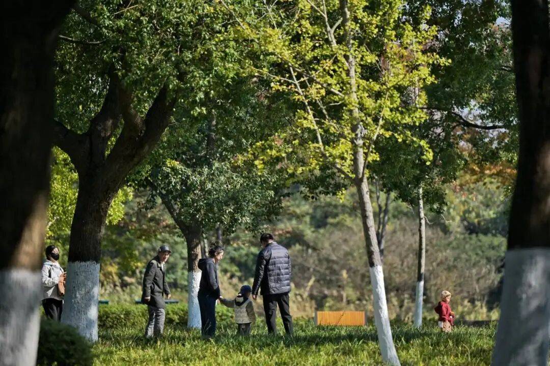 转！这天气温要超20℃PG电子麻将胡了大反(图3)