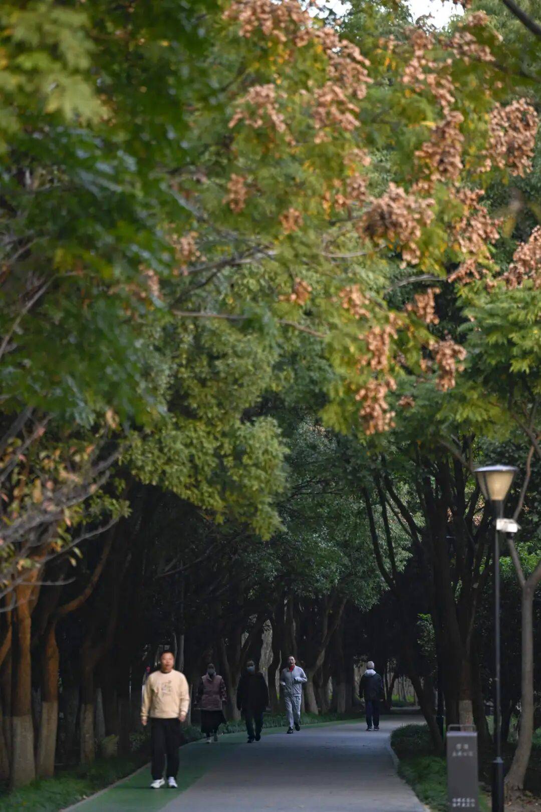 转！这天气温要超20℃PG电子麻将胡了大反(图4)